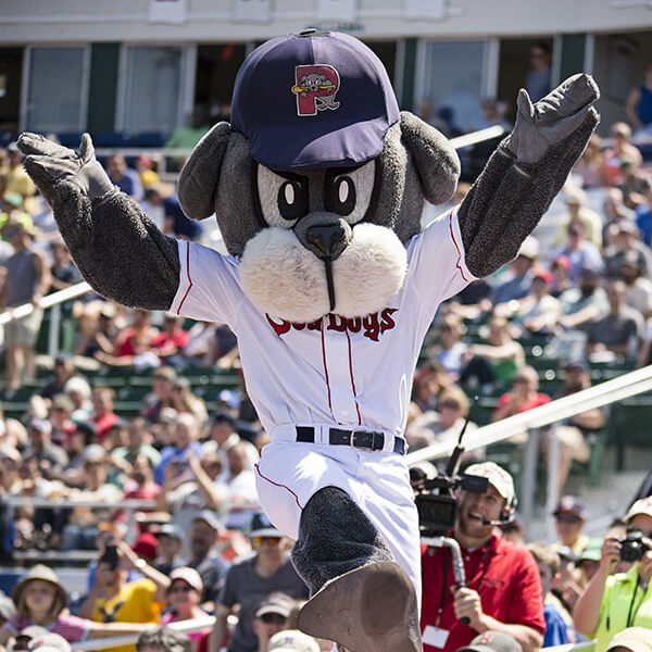 Slugger of the Portland Sea Dogs