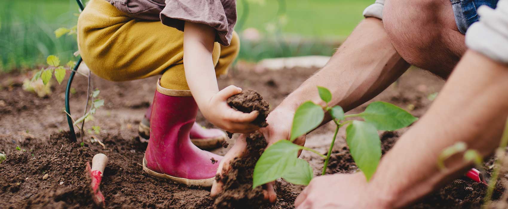 A person planting a garden and a small child standing in the dirt
