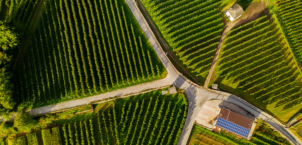 Agribusiness technologies and financing
