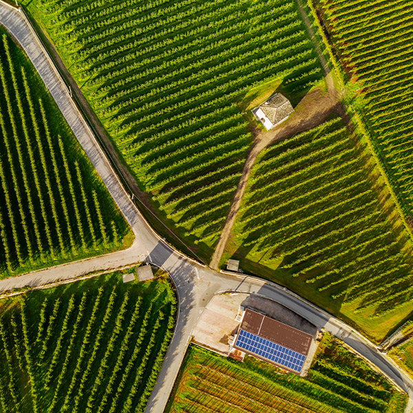Aerial view of farmland
