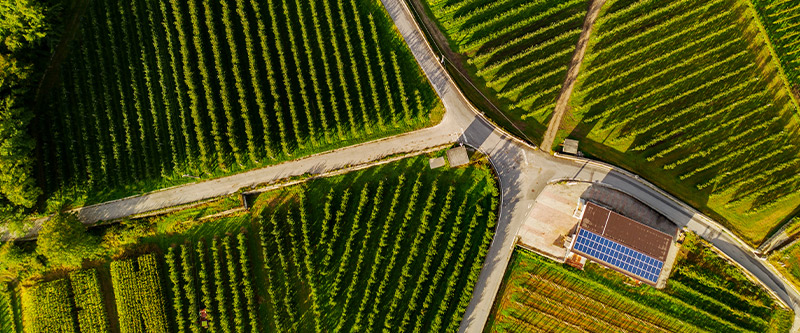 Aerial view of farmland