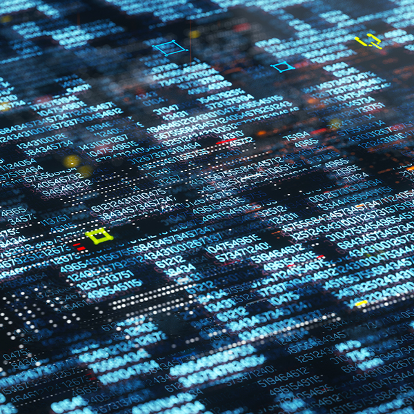 Cybersecurity & Fraud