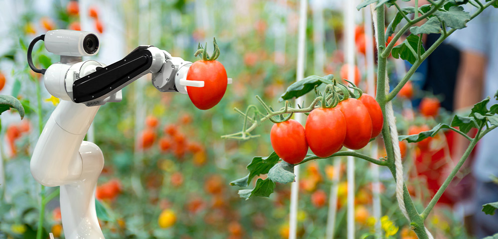 Innovative food and beverage financing