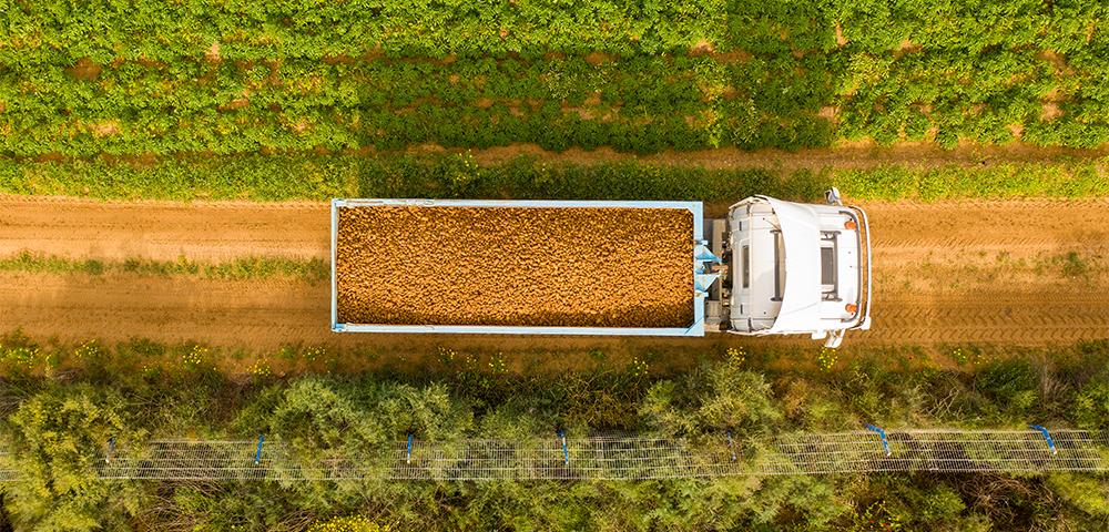 <p>Equipment financing sprouts options for strong potato growing market</p>
