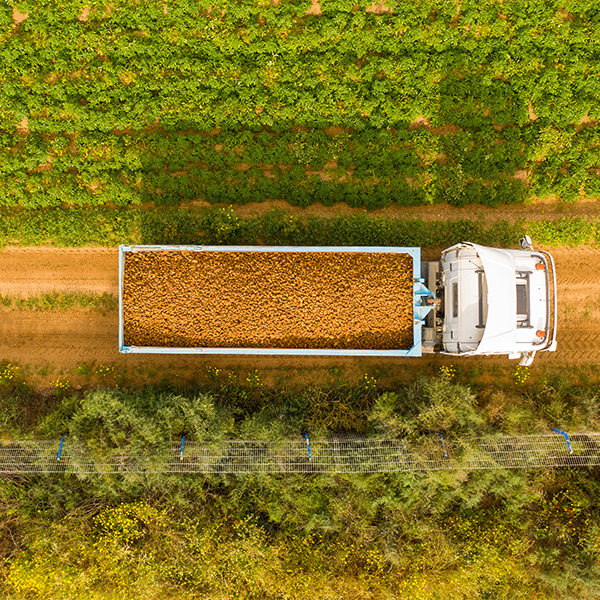 Equipment financing sprouts options for strong potato growing market