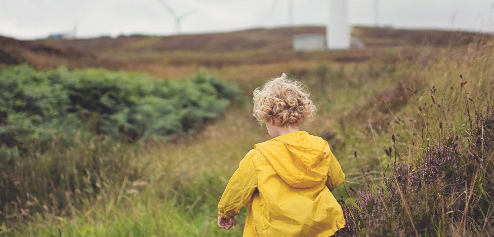 Task force on climate-related financial disclosures report: Learn about our climate-related journey