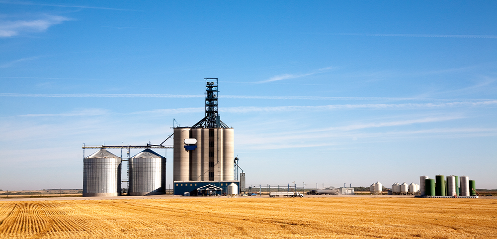 Agribusiness