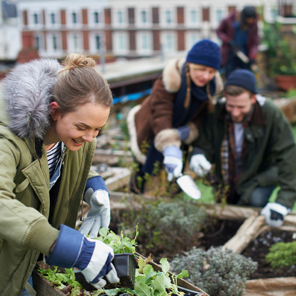 people gardening