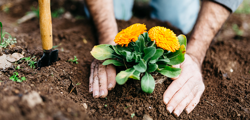 2021 Charitable Giving Strategies