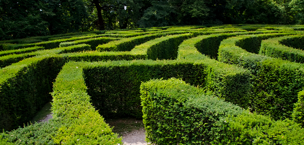 Demystifying Hedge Funds