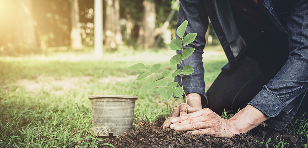 From Checkbook Giving to Strategic Philanthropy: Six Questions to Start a Family Giving Discussion