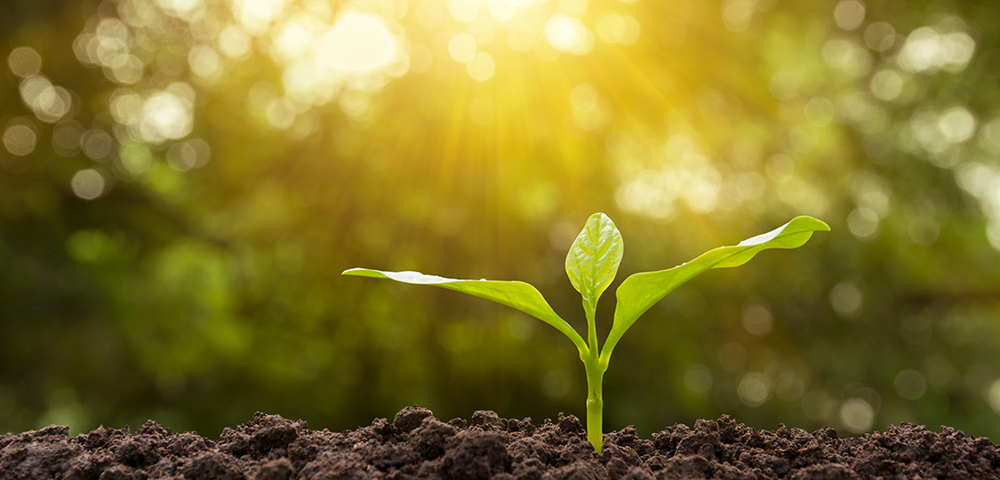 Giving for Good: Generational Differences in Philanthropy, Legacy, and Wealth Planning
