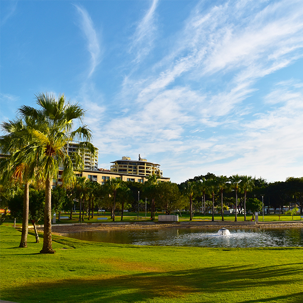 beautiful florida landscape