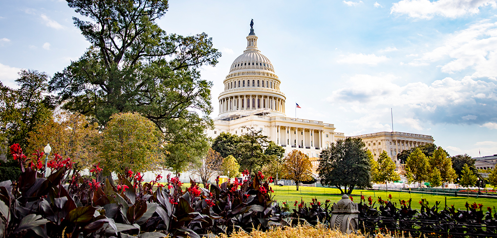 Legislative Update: The SECURE Act and Elimination of the Stretch IRA