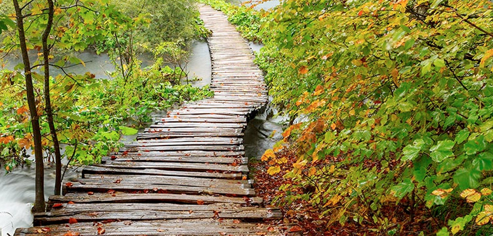 Three Mistakes to Avoid When Rightsizing the Risk in Your Business